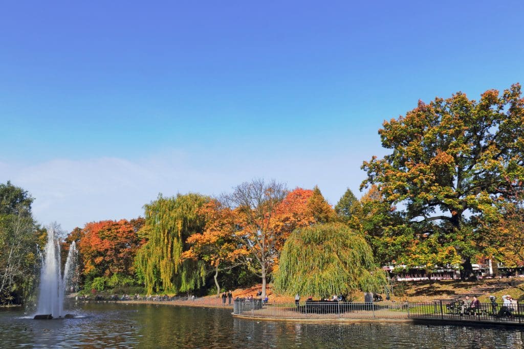Pond in the Volkspark Friedrichshain in Berlin