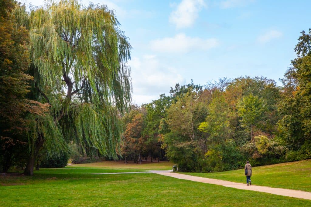 Wiese und Bäume im Rudolph-Wilde-Park im Berliner Bezirk Tempelhof-Schöneberg