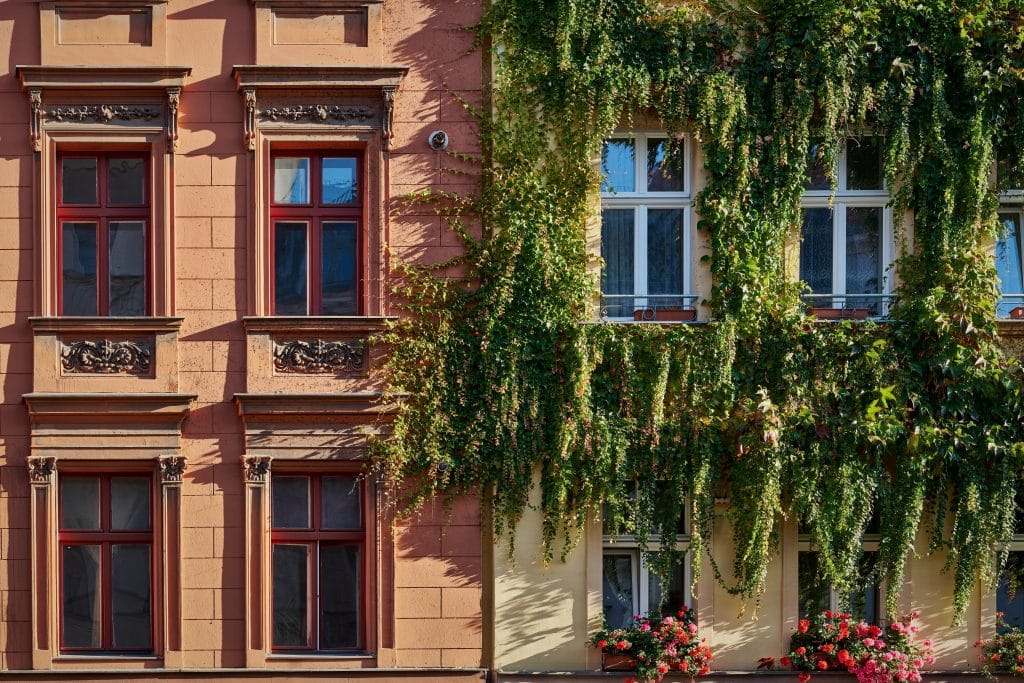 Schön renovierte und begrünte Altbaufassade mit Blumenkästen in Berlin-Kreuzberg im Abendlicht